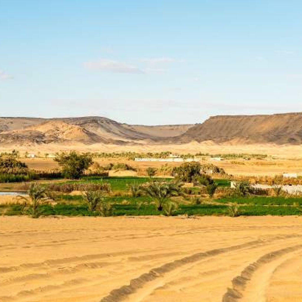 Fayoum One Day Trip