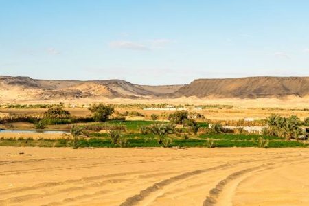 Fayoum One Day Trip