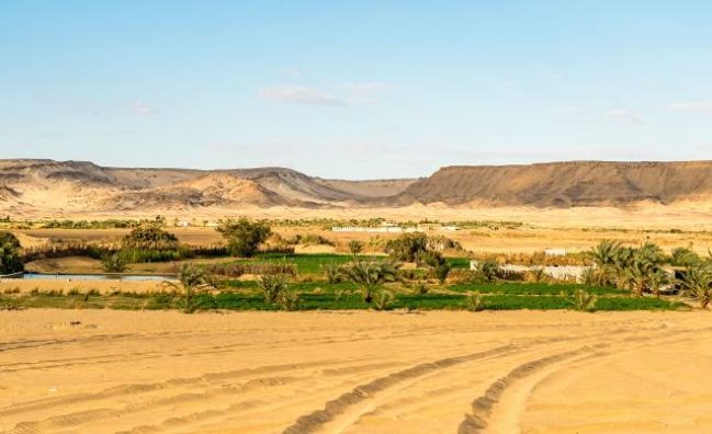 Fayoum One Day Trip