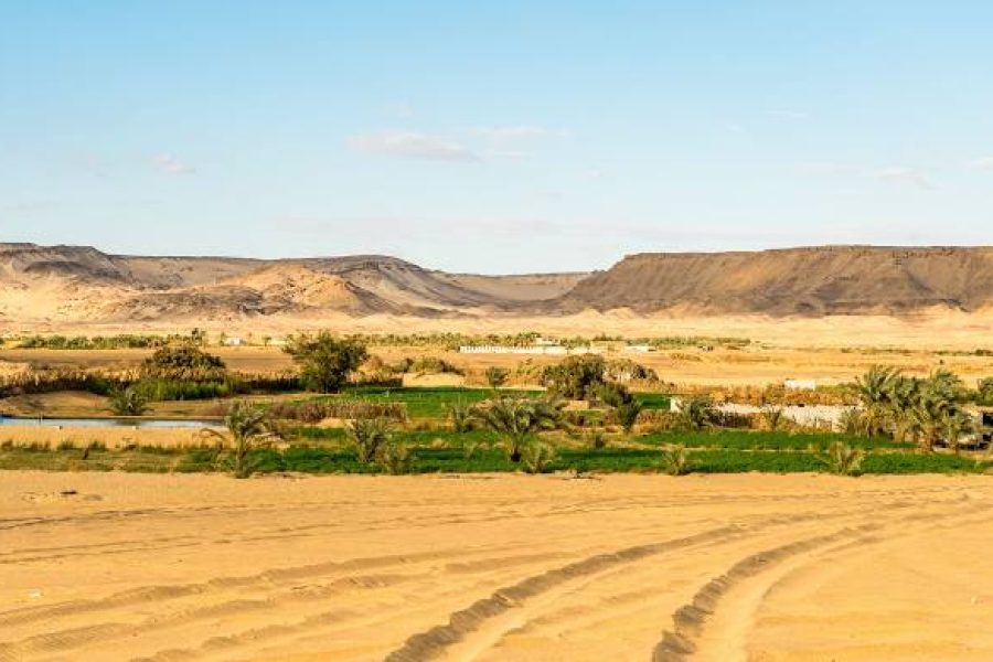 Fayoum One Day Trip